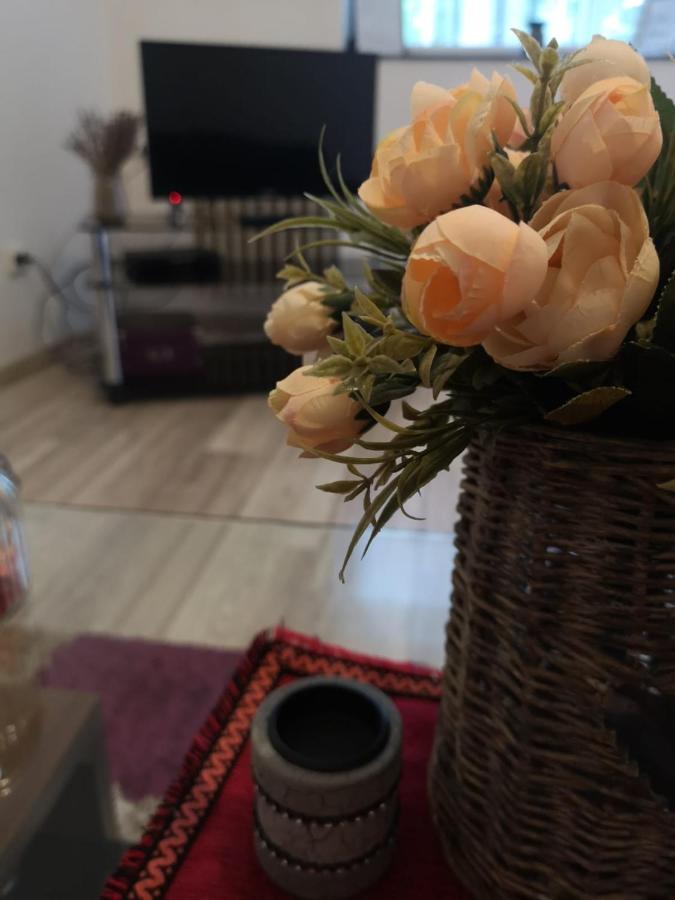 דירות קריובה Deea Apartament מראה חיצוני תמונה